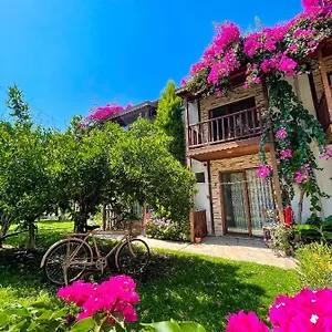  Homestay Misafir Evi